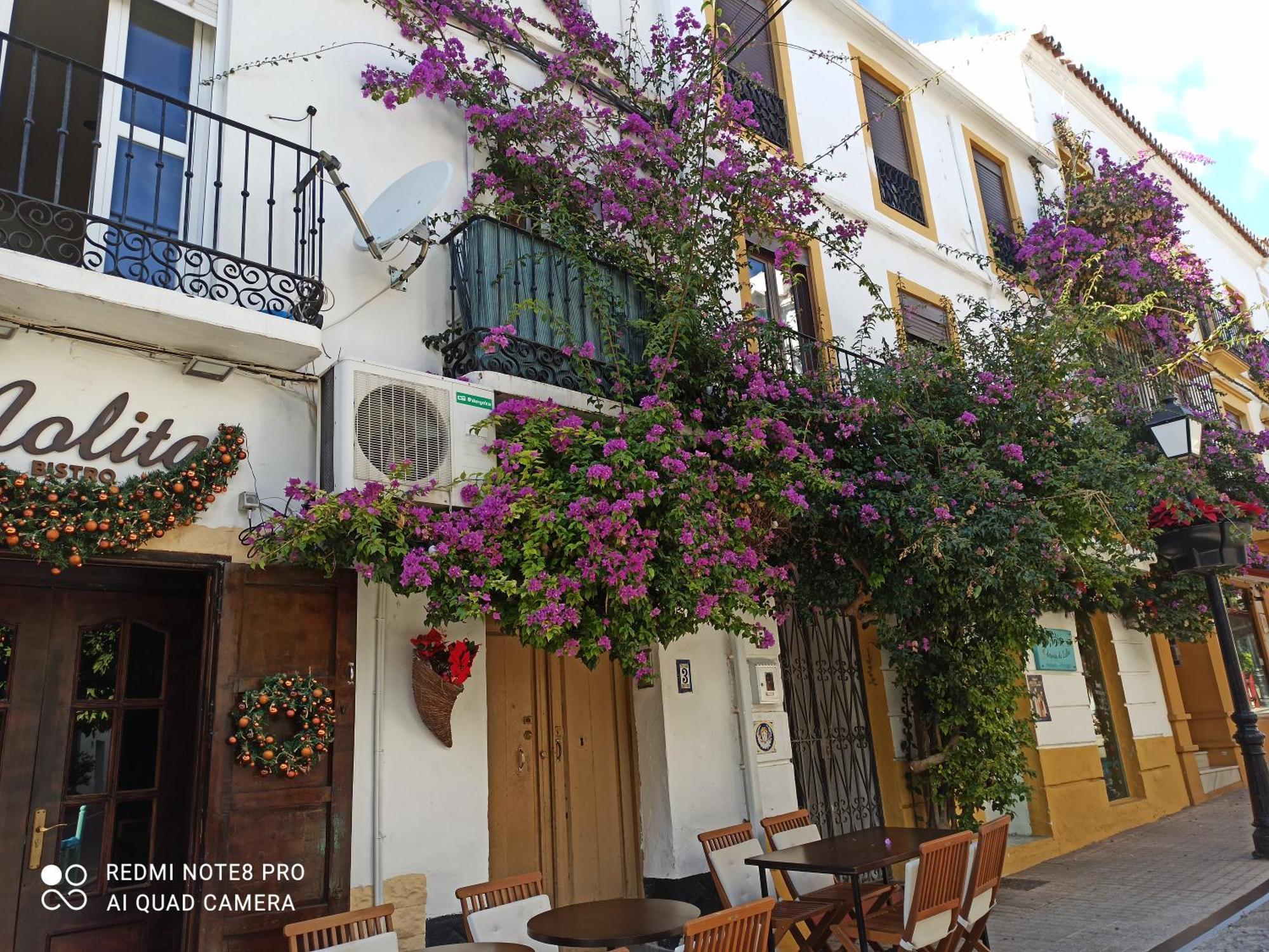 Apartamento Bambino Playa Marbella Exterior foto